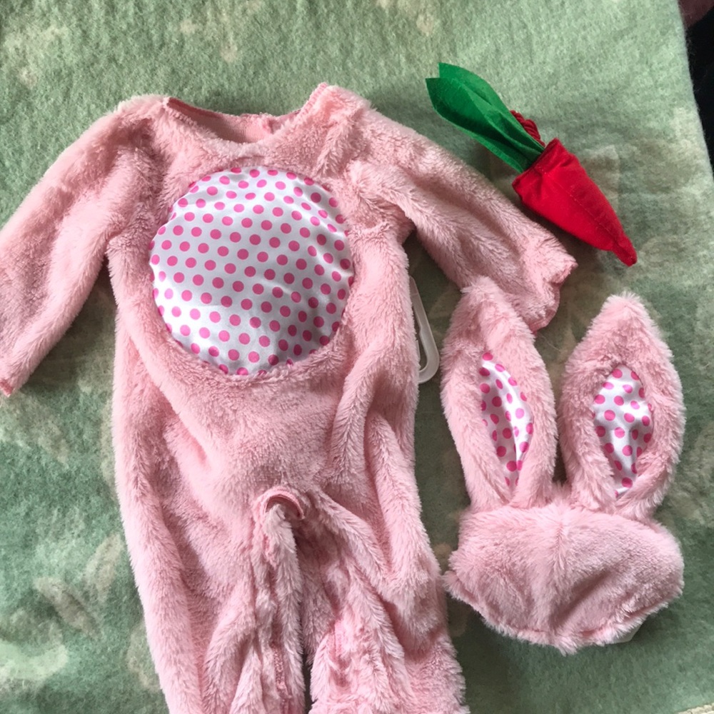 Dream Weaver Pink Bunny Rabbit - Ears & Carrot